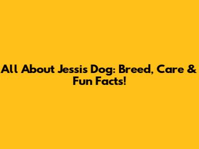 All About Jessi's Dog: Breed, Care & Fun Facts!