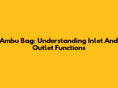 Ambu Bag: Understanding Inlet And Outlet Functions