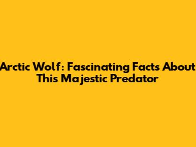 Arctic Wolf: Fascinating Facts About This Majestic Predator