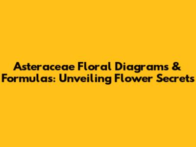 Asteraceae Floral Diagrams & Formulas: Unveiling Flower Secrets