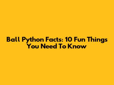 Ball Python Facts: 10 Fun Things You Need To Know