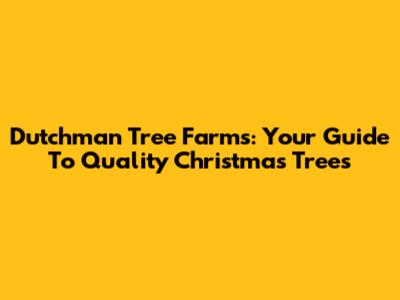 Dutchman Tree Farms: Your Guide To Quality Christmas Trees