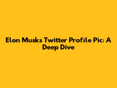 Elon Musk's Twitter Profile Pic: A Deep Dive