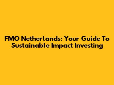 FMO Netherlands: Your Guide To Sustainable Impact Investing