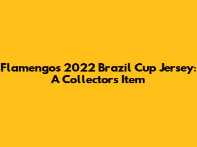 Flamengo's 2022 Brazil Cup Jersey: A Collector's Item
