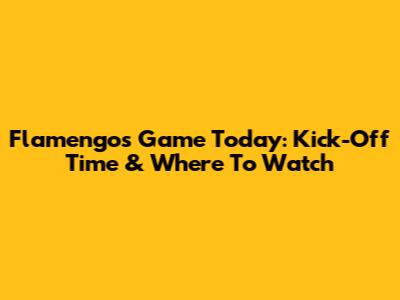 Flamengo's Game Today: Kick-Off Time & Where To Watch