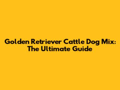 Golden Retriever Cattle Dog Mix: The Ultimate Guide