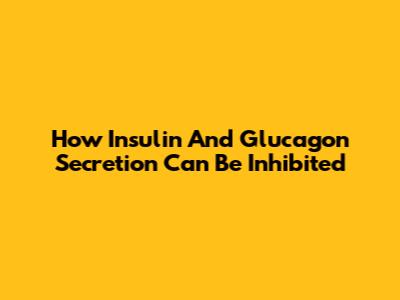 How Insulin And Glucagon Secretion Can Be Inhibited