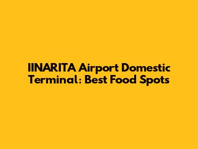 IINARITA Airport Domestic Terminal: Best Food Spots