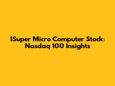ISuper Micro Computer Stock: Nasdaq 100 Insights
