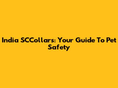India SCCollars: Your Guide To Pet Safety
