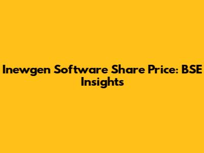 Inewgen Software Share Price: BSE Insights