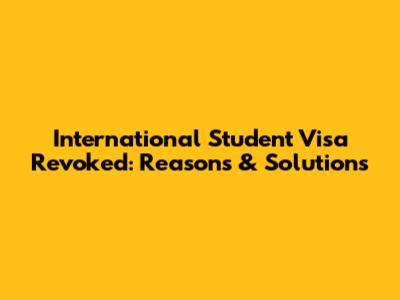 International Student Visa Revoked: Reasons & Solutions