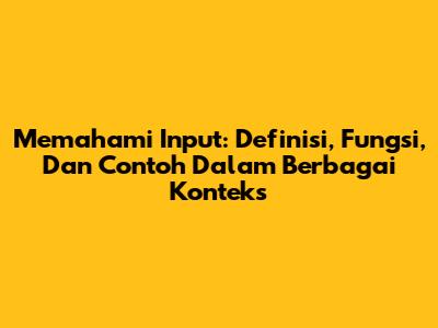 Memahami Input: Definisi, Fungsi, Dan Contoh Dalam Berbagai Konteks