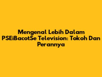 Mengenal Lebih Dalam PSEiBacotSe Television: Tokoh Dan Perannya