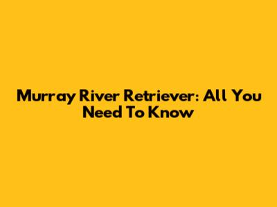 Murray River Retriever: All You Need To Know