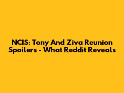 NCIS: Tony And Ziva Reunion Spoilers - What Reddit Reveals