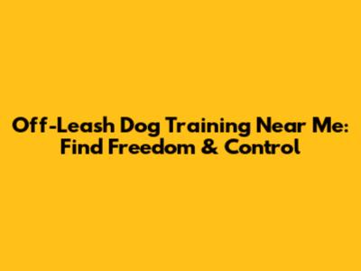 Off-Leash Dog Training Near Me: Find Freedom & Control