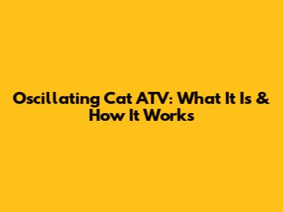 Oscillating Cat ATV: What It Is & How It Works