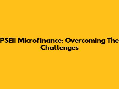 PSEII Microfinance: Overcoming The Challenges