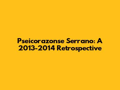 Pseicorazonse Serrano: A 2013-2014 Retrospective