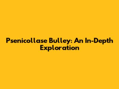 Psenicollase Bulley: An In-Depth Exploration