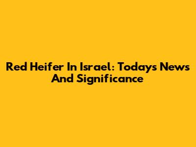 Red Heifer In Israel: Today's News And Significance