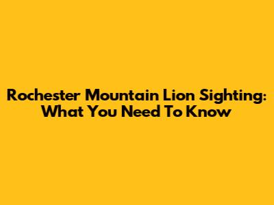 Rochester Mountain Lion Sighting: What You Need To Know