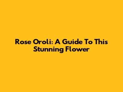 Rose Oroli: A Guide To This Stunning Flower