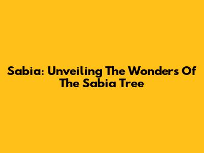 Sabia: Unveiling The Wonders Of The Sabia Tree