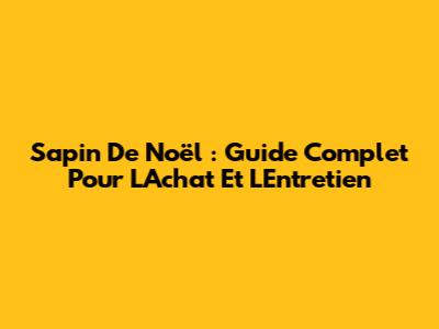 Sapin De Noël : Guide Complet Pour L'Achat Et L'Entretien