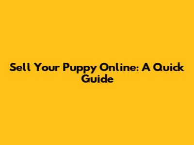 Sell Your Puppy Online: A Quick Guide