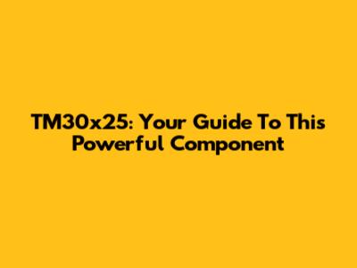 TM30x25: Your Guide To This Powerful Component
