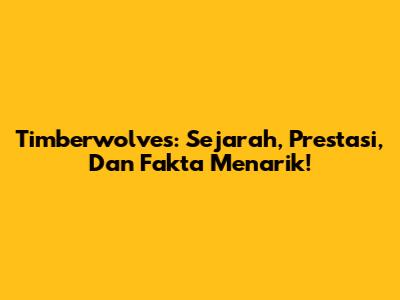 Timberwolves: Sejarah, Prestasi, Dan Fakta Menarik!