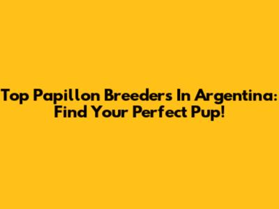 Top Papillon Breeders In Argentina: Find Your Perfect Pup!