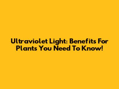 Ultraviolet Light: Benefits For Plants You Need To Know!