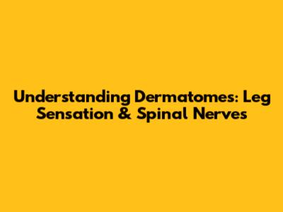 Understanding Dermatomes: Leg Sensation & Spinal Nerves
