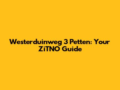 Westerduinweg 3 Petten: Your ZiTNO Guide